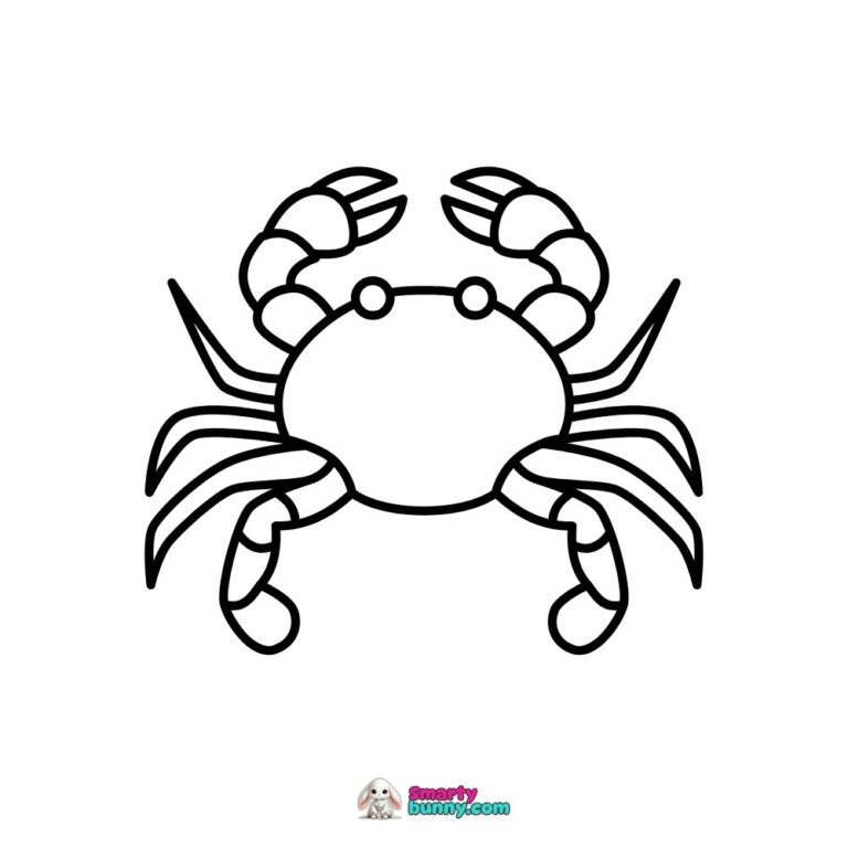 Read more about the article Krab